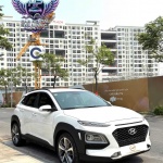 Hyundai kona 2019
