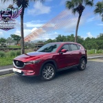 CX8 2025